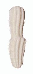 Pack 6 Boquilla Rosa Inoxidable de Lacor