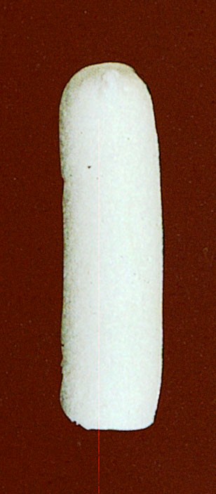 Pack 6 Boquilla Redonda Inoxidable de Lacor