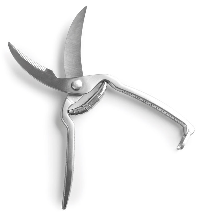 Tijera para aves inox de Lacor