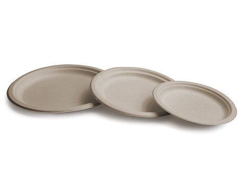 Pack plato de caña de azúcar crema de Betik (800 pzas)