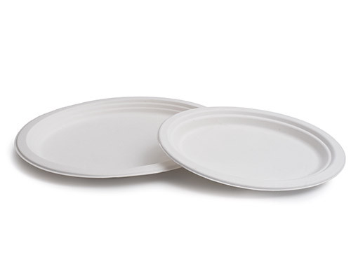 Pack plato caña de azúcar oval 26x20cm de Betik (800 pzas)
