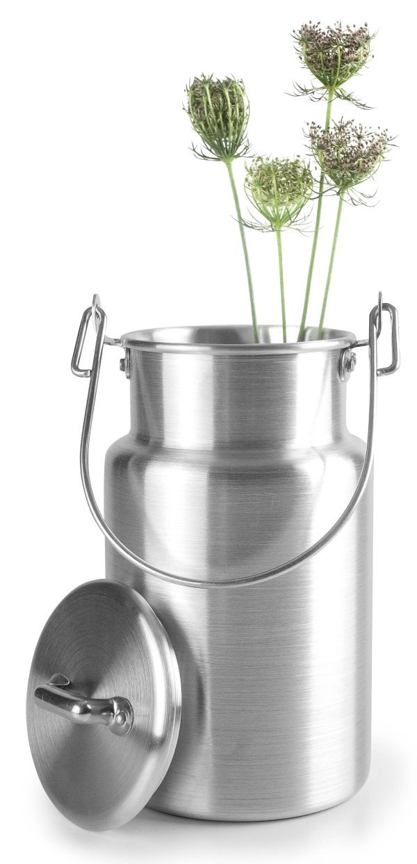 Lechera de aluminio de Ibili