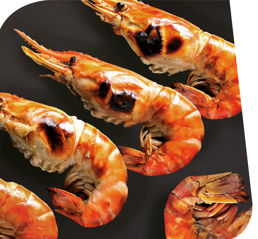 Espátula para Plancha marca Ibili